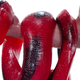 Image for article titled Happy holidays… for now: The A.V. Club’s apocalypse-ready 2012 Gift Guide